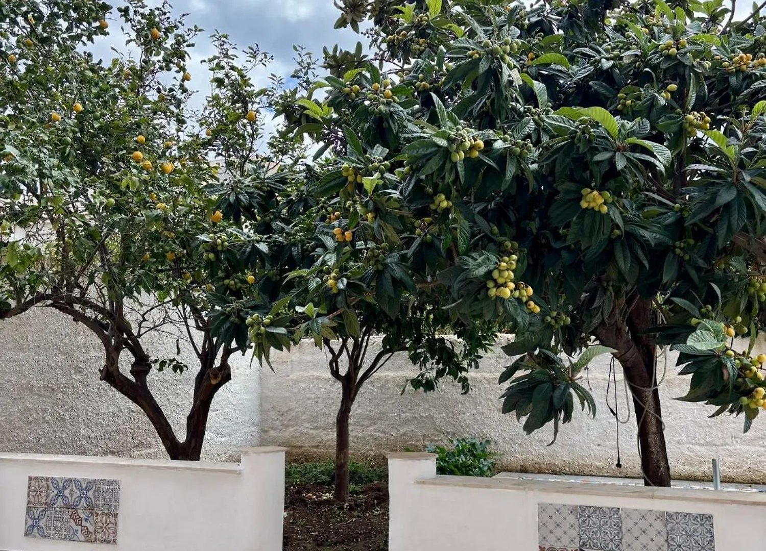 Residence Prato Trapani Italia
